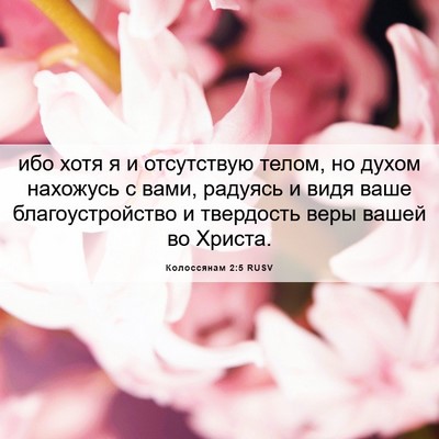 Picture 06 - Колоссянам 2:5 RUSV - ибо хотя я и отсутствую - Bible Verse Picture