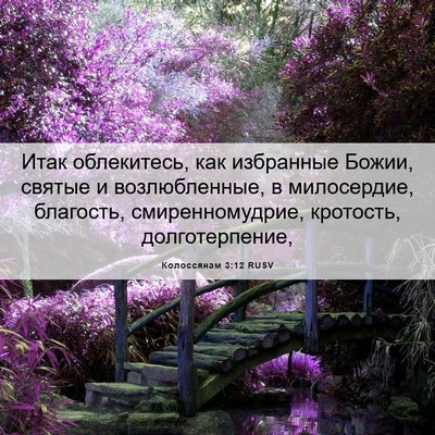 Picture 06 - Колоссянам 3:12 RUSV - Итак облекитесь, как - Bible Verse Picture