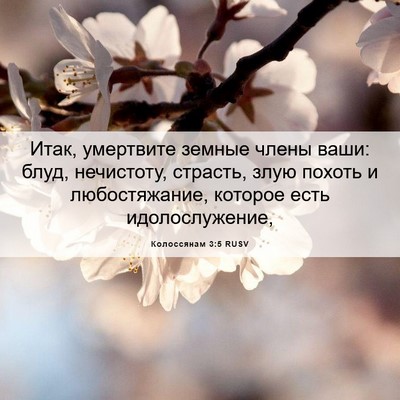 Picture 06 - Колоссянам 3:5 RUSV - Итак, умертвите земные - Bible Verse Picture