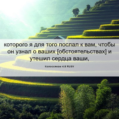 Picture 06 - Колоссянам 4:8 RUSV - которого я для того послал - Bible Verse Picture