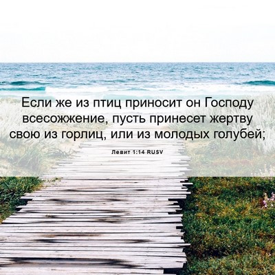Picture 06 - Левит 1:14 RUSV - Если же из птиц приносит он - Bible Verse Picture
