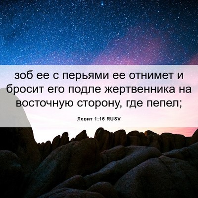 Picture 06 - Левит 1:16 RUSV - зоб ее с перьями ее отнимет - Bible Verse Picture