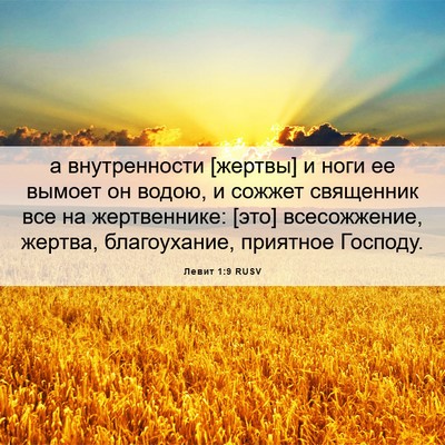 Picture 06 - Левит 1:9 RUSV - а внутренности [жертвы] и - Bible Verse Picture