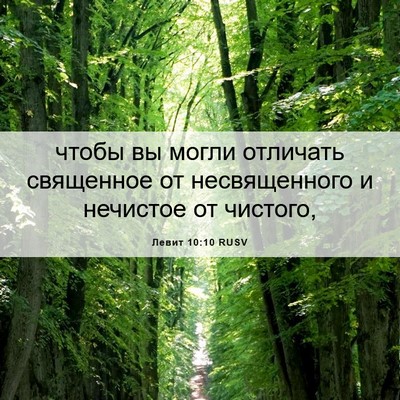 Picture 06 - Левит 10:10 RUSV - чтобы вы могли отличать - Bible Verse Picture