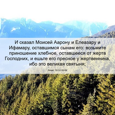 Picture 06 - Левит 10:12 RUSV - И сказал Моисей Аарону и - Bible Verse Picture