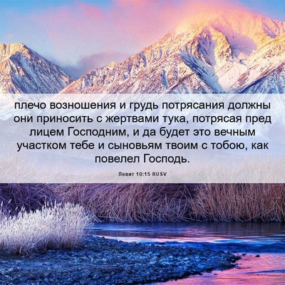 Picture 06 - Левит 10:15 RUSV - плечо возношения и грудь - Bible Verse Picture
