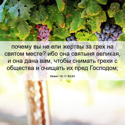 Picture 06 - Левит 10:17 RUSV - почему вы не ели жертвы за - Bible Verse Picture