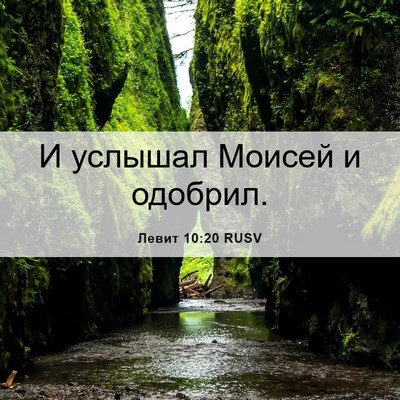 Picture 06 - Левит 10:20 RUSV - И услышал Моисей и - Bible Verse Picture