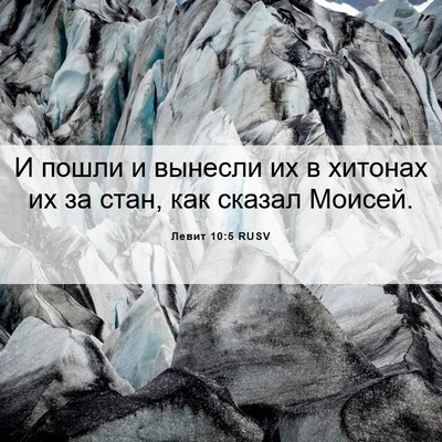 Picture 06 - Левит 10:5 RUSV - И пошли и вынесли их в - Bible Verse Picture