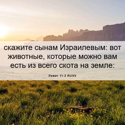Picture 06 - Левит 11:2 RUSV - скажите сынам Израилевым: - Bible Verse Picture