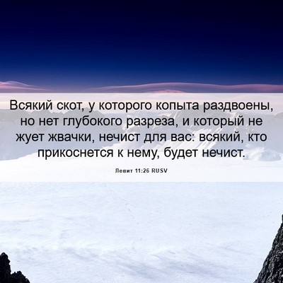 Picture 06 - Левит 11:26 RUSV - Всякий скот, у которого - Bible Verse Picture