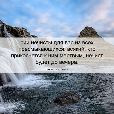 Picture 06 - Левит 11:31 RUSV - сии нечисты для вас из всех - Bible Verse Picture