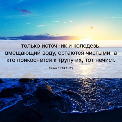 Picture 06 - Левит 11:36 RUSV - только источник и - Bible Verse Picture