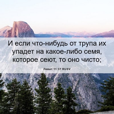 Picture 06 - Левит 11:37 RUSV - И если что-нибудь от трупа - Bible Verse Picture