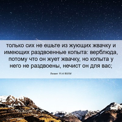 Picture 06 - Левит 11:4 RUSV - только сих не ешьте из - Bible Verse Picture