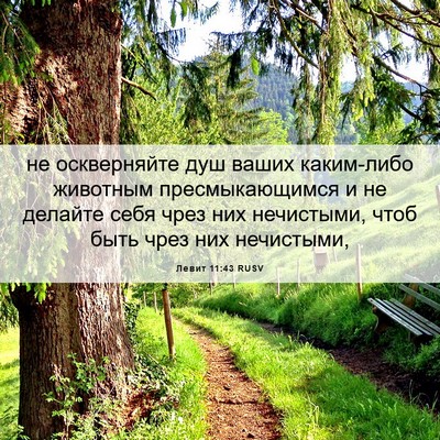 Picture 06 - Левит 11:43 RUSV - не оскверняйте душ ваших - Bible Verse Picture