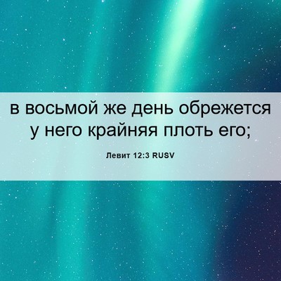Picture 06 - Левит 12:3 RUSV - в восьмой же день - Bible Verse Picture