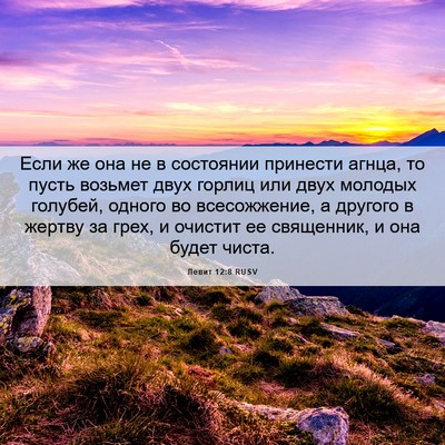 Picture 06 - Левит 12:8 RUSV - Если же она не в состоянии - Bible Verse Picture