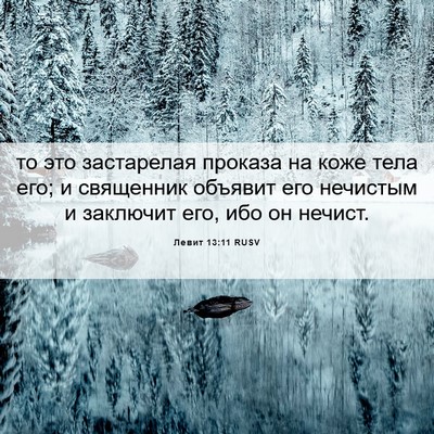 Picture 06 - Левит 13:11 RUSV - то это застарелая проказа - Bible Verse Picture