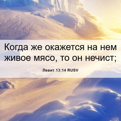 Picture 06 - Левит 13:14 RUSV - Когда же окажется на нем - Bible Verse Picture