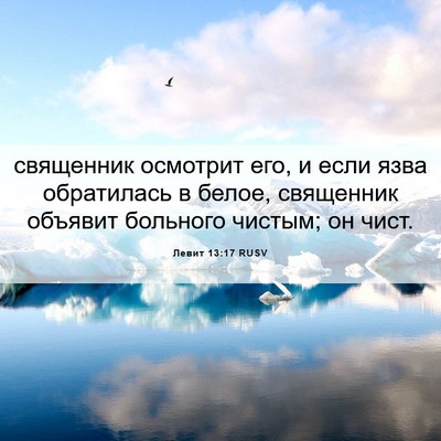 Picture 06 - Левит 13:17 RUSV - священник осмотрит его, и - Bible Verse Picture