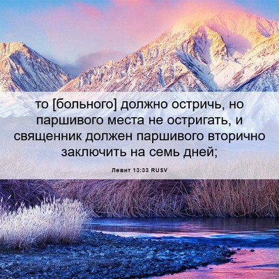 Picture 06 - Левит 13:33 RUSV - то [больного] должно - Bible Verse Picture