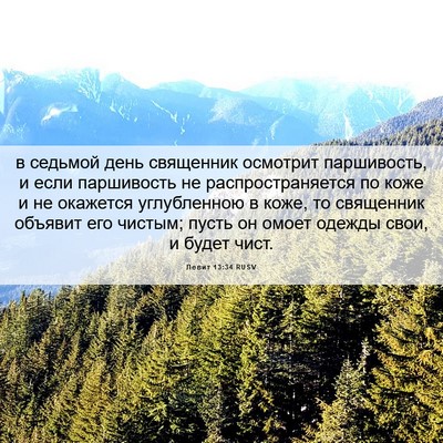 Picture 06 - Левит 13:34 RUSV - в седьмой день священник - Bible Verse Picture