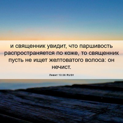 Picture 06 - Левит 13:36 RUSV - и священник увидит, что - Bible Verse Picture