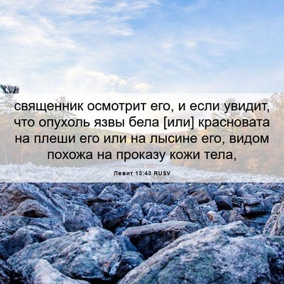 Picture 06 - Левит 13:43 RUSV - священник осмотрит его, и - Bible Verse Picture