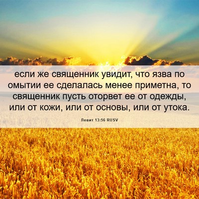 Picture 06 - Левит 13:56 RUSV - если же священник увидит, - Bible Verse Picture
