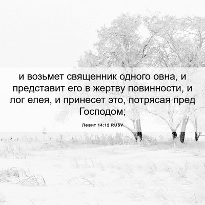 Picture 06 - Левит 14:12 RUSV - и возьмет священник одного - Bible Verse Picture