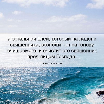 Picture 06 - Левит 14:18 RUSV - а остальной елей, который - Bible Verse Picture