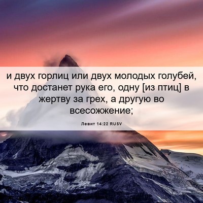 Picture 06 - Левит 14:22 RUSV - и двух горлиц или двух - Bible Verse Picture