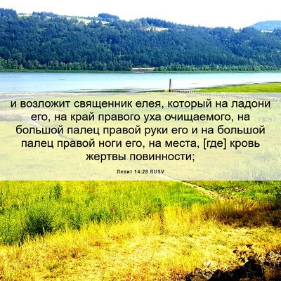 Picture 06 - Левит 14:28 RUSV - и возложит священник елея, - Bible Verse Picture