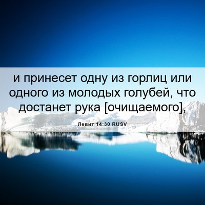 Picture 06 - Левит 14:30 RUSV - и принесет одну из горлиц - Bible Verse Picture