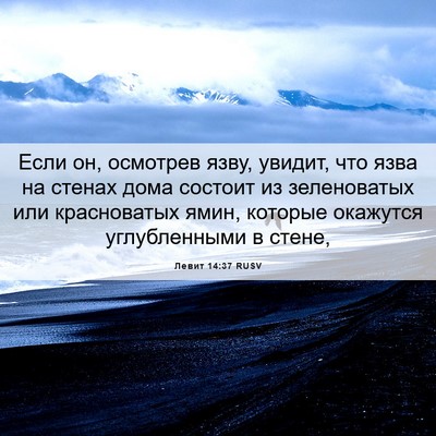 Picture 06 - Левит 14:37 RUSV - Если он, осмотрев язву, - Bible Verse Picture