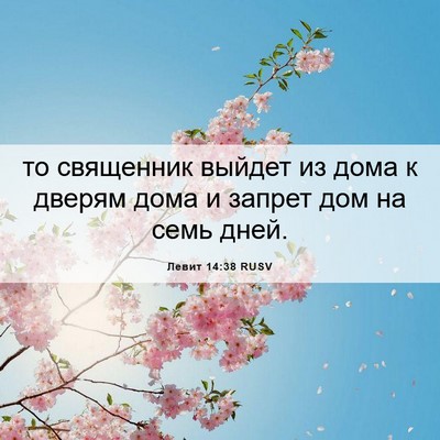 Picture 06 - Левит 14:38 RUSV - то священник выйдет из - Bible Verse Picture