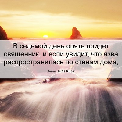 Picture 06 - Левит 14:39 RUSV - В седьмой день опять - Bible Verse Picture