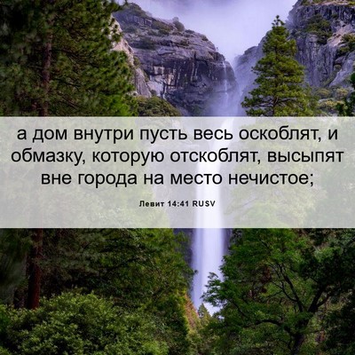 Picture 06 - Левит 14:41 RUSV - а дом внутри пусть весь - Bible Verse Picture