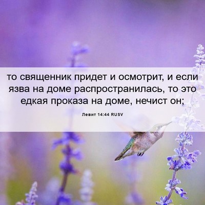 Picture 06 - Левит 14:44 RUSV - то священник придет и - Bible Verse Picture