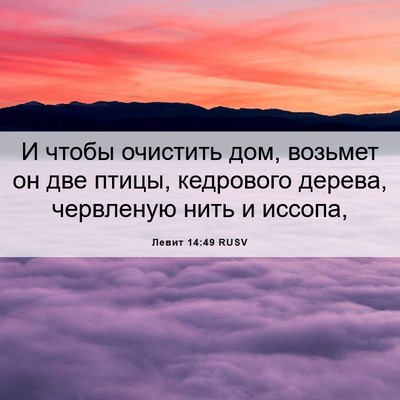 Picture 06 - Левит 14:49 RUSV - И чтобы очистить дом, - Bible Verse Picture