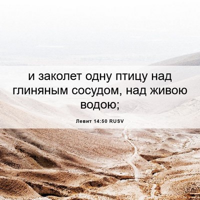 Picture 06 - Левит 14:50 RUSV - и заколет одну птицу над - Bible Verse Picture