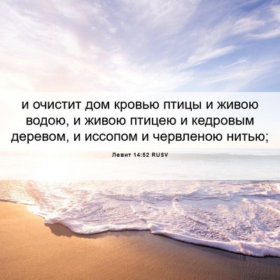 Picture 06 - Левит 14:52 RUSV - и очистит дом кровью птицы - Bible Verse Picture