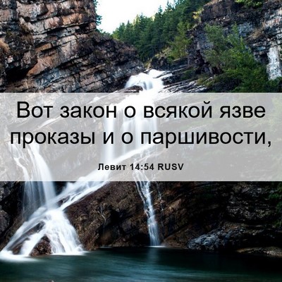 Picture 06 - Левит 14:54 RUSV - Вот закон о всякой язве - Bible Verse Picture