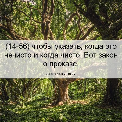 Picture 06 - Левит 14:57 RUSV - (14-56) чтобы указать, когда - Bible Verse Picture