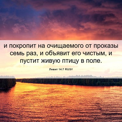 Picture 06 - Левит 14:7 RUSV - и покропит на очищаемого - Bible Verse Picture