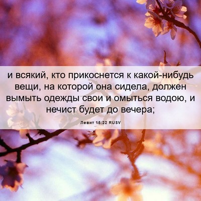 Picture 06 - Левит 15:22 RUSV - и всякий, кто прикоснется к - Bible Verse Picture