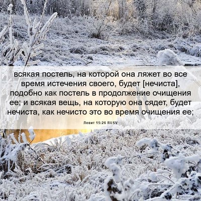 Picture 06 - Левит 15:26 RUSV - всякая постель, на которой - Bible Verse Picture