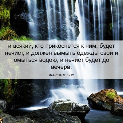 Picture 06 - Левит 15:27 RUSV - и всякий, кто прикоснется к - Bible Verse Picture