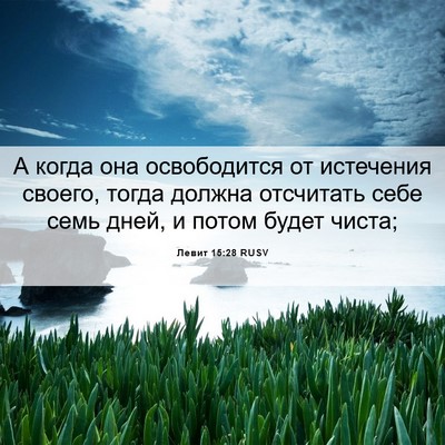 Picture 06 - Левит 15:28 RUSV - А когда она освободится от - Bible Verse Picture